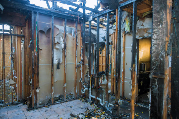 Professional Fire Damage Removal technician working in Summit, WA